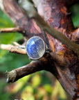 Labradorite Gemstone Ring handmade by Caroline StokesberryLee in  Belfast
