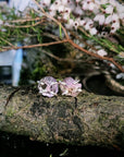 Raw Ametrine Earrings